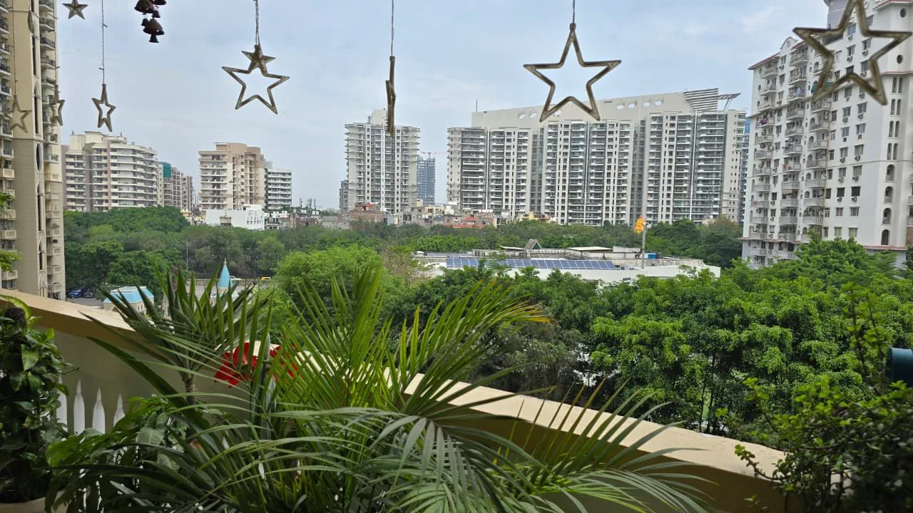 view