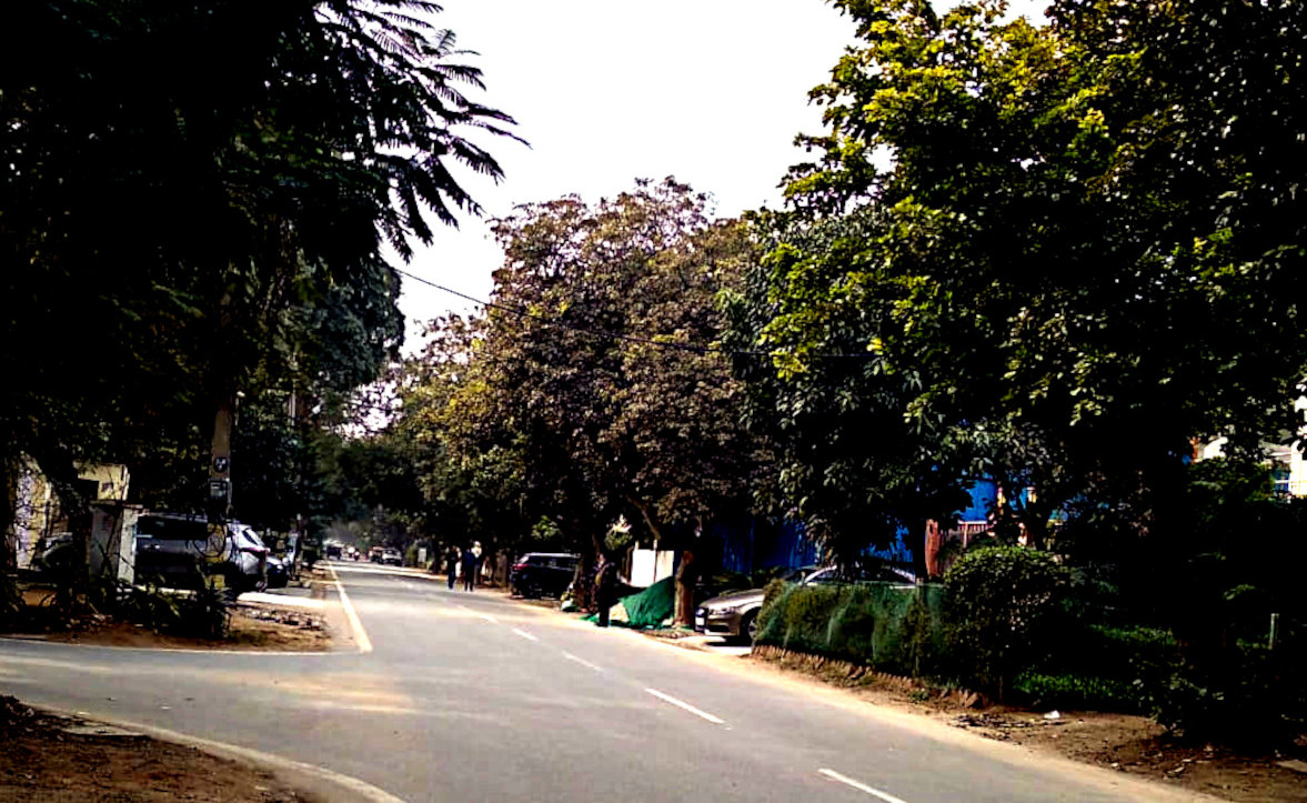 DLF City